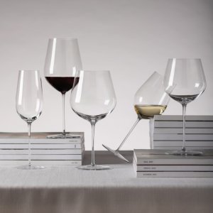 Fortessa Sklenice na burgundské MOVE 848 ml