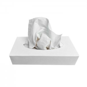 Wepa Professional Kosmetické ubrousky 2-vrstvé, natural, 100 ks