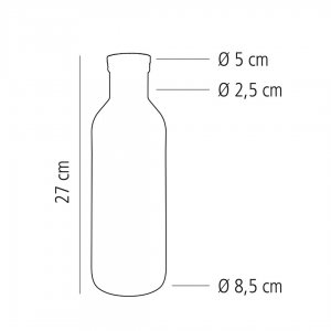 APS karafa LINES skleněná s víčkem 1 l hladká