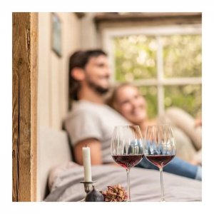 Fortessa Sklenice na červené víno WINESHINE 613 ml