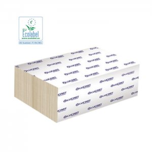 Lucart Professional Papírové ručníky V, 2-vr., EcoNatural Lucart 3800 ks (21 x 24,3 cm)