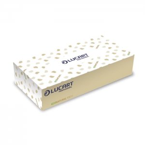Lucart Professional Kosmetické ubrousky EcoNatural, 2-vrstvé, 100 ks